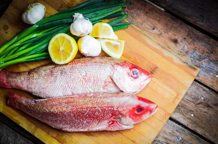 Cómo preparar y cocinar el pargo rojo